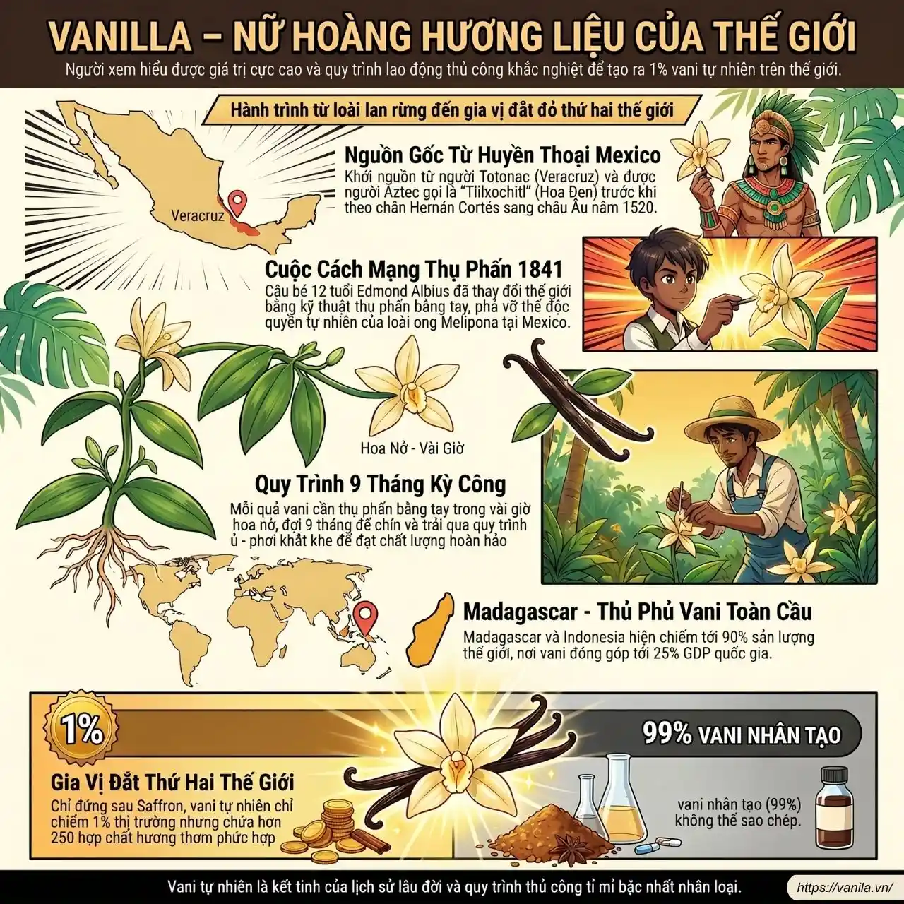 Cây lan vani (Vanilla planifolia) với quả vani xanh trên giàn leo, tổng hợp thông tin về nguồn gốc, đặc điểm, trồng trọt và giá trị kinh tế của vanilla.
